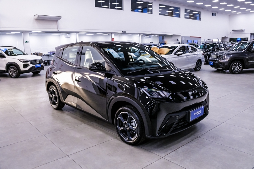 Carro BYD DOLPHIN MINI