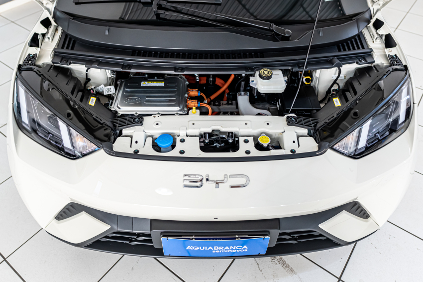 BYD DOLPHIN MINI 38 KW ELÉTRICO GS 6