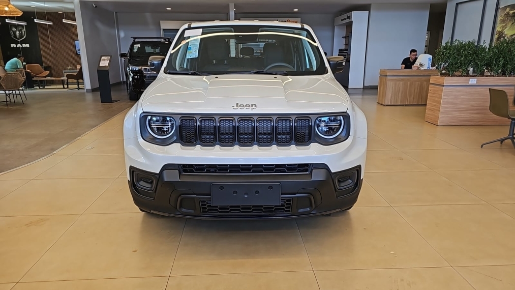 jeep/renegade 1.3 turbo + pach tech