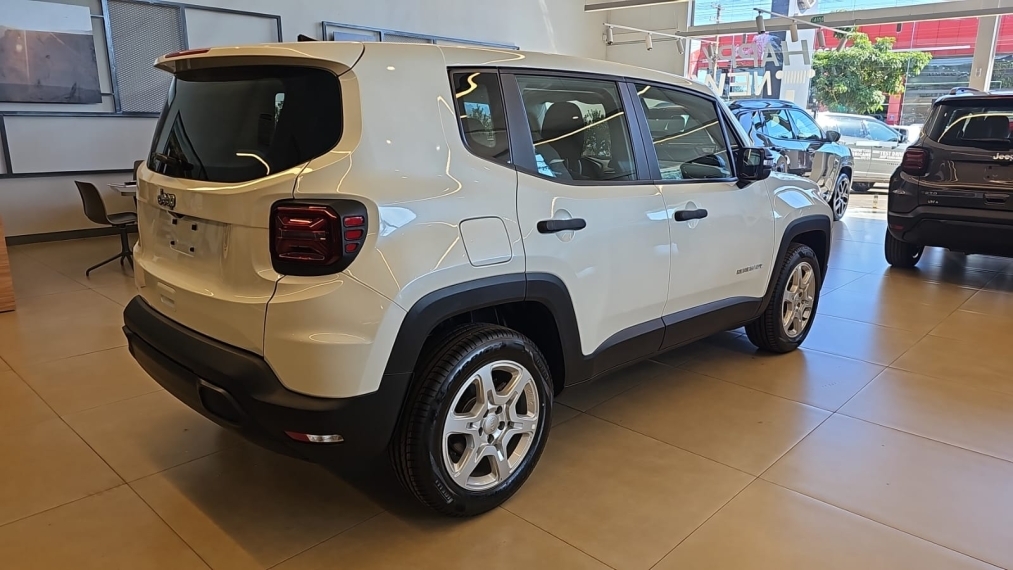 jeep/renegade 1.3 turbo + pach tech