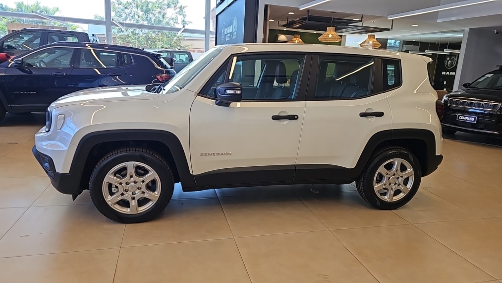 jeep/renegade 1.3 turbo + pach tech
