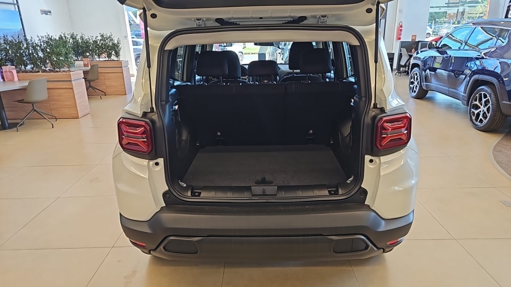 jeep/renegade 1.3 turbo + pach tech