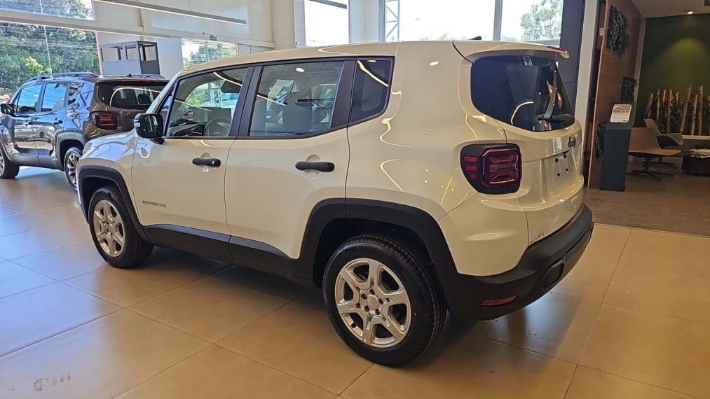 jeep/renegade 1.3 turbo + pach tech