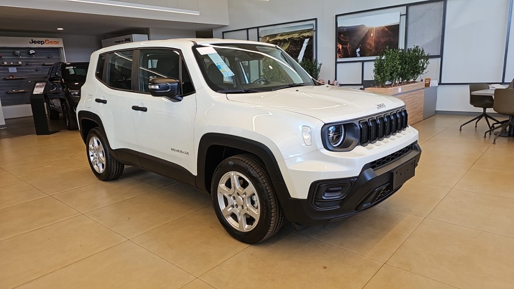 jeep/renegade 1.3 turbo + pach tech