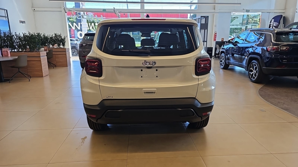 jeep/renegade 1.3 turbo + pach tech