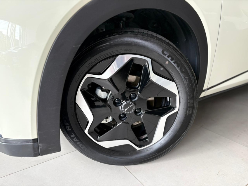 byd dolphin 44,9 kw eletrico gs 4p automatico 20243