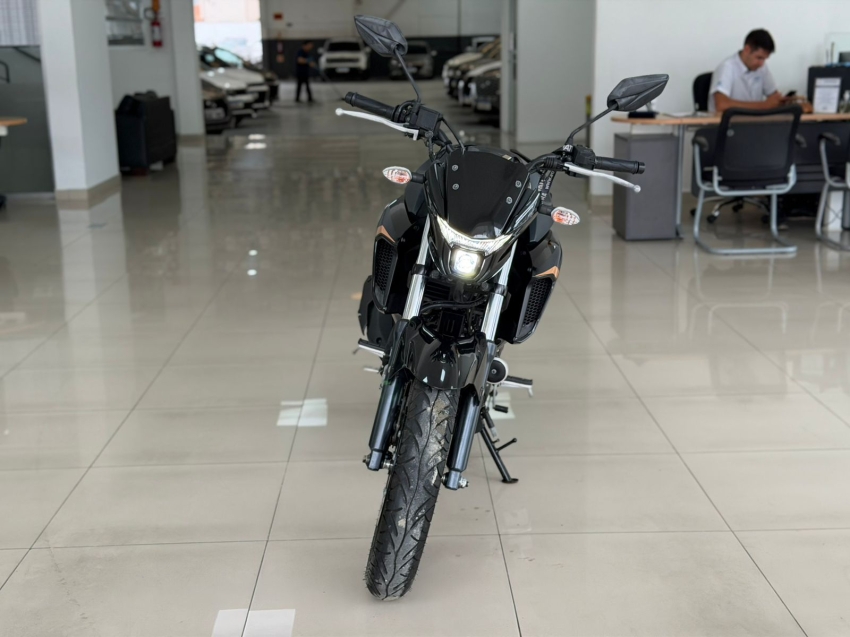 yamaha fazer 250 flex manual 20241