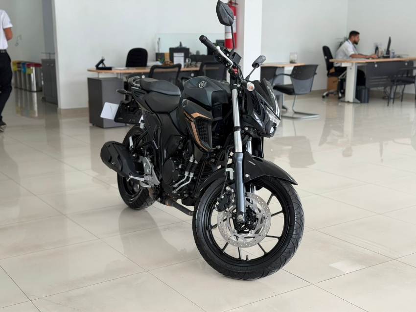 yamaha fazer 250 flex manual 2024