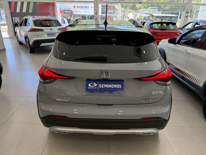 fiat pulse flex 20254