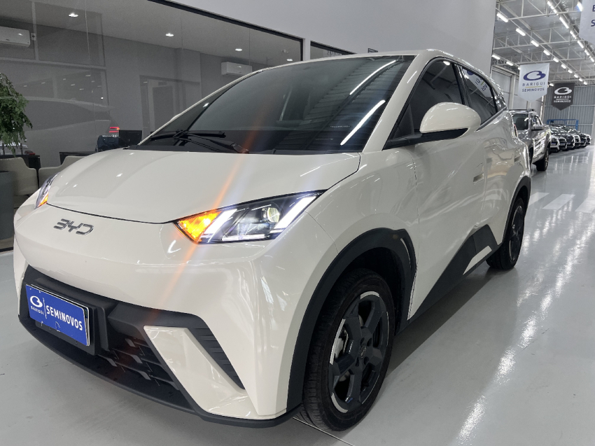 byd dolphin mini ev - garantia de fabrica1