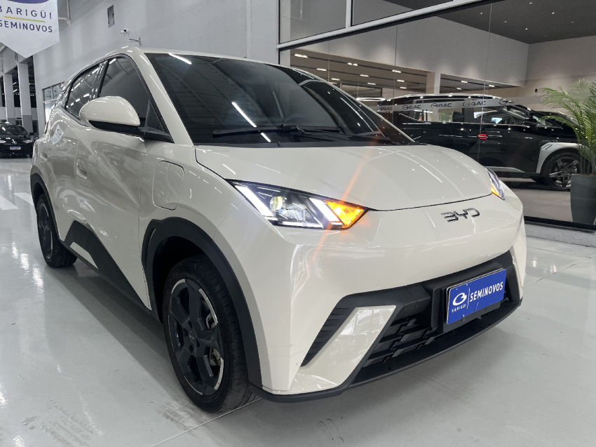 byd dolphin mini ev - garantia de fabrica2