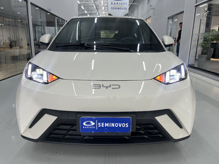 byd dolphin mini ev - garantia de fabrica