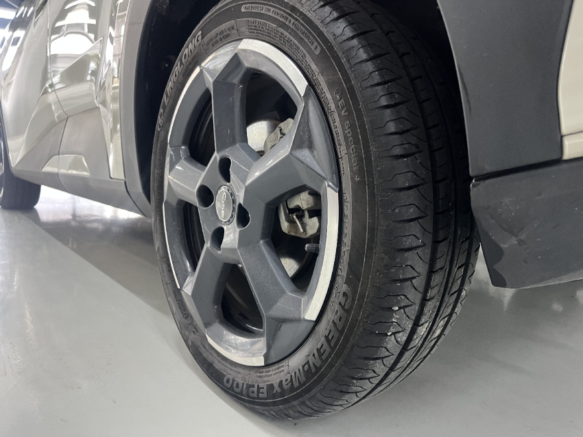 byd dolphin mini ev - garantia de fabrica6