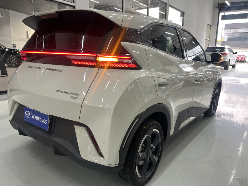 byd dolphin mini ev - garantia de fabrica3