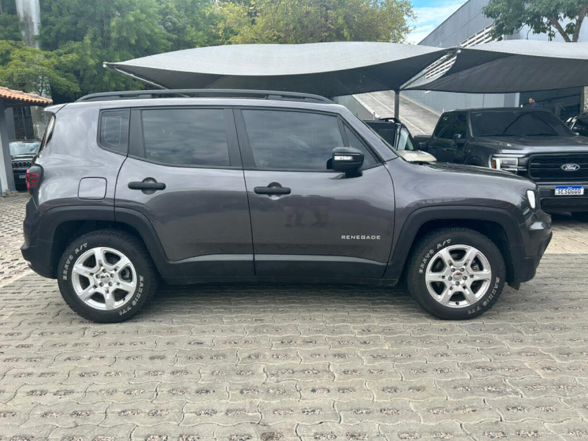 renegade 1.3 spt t270 176hp 2024/20247