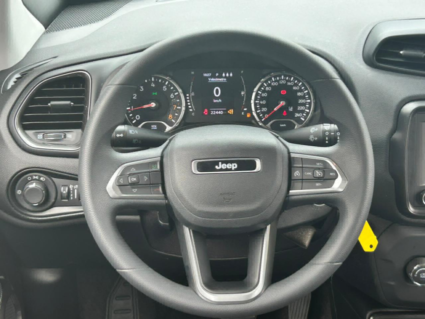 renegade 1.3 spt t270 176hp 2024/202411