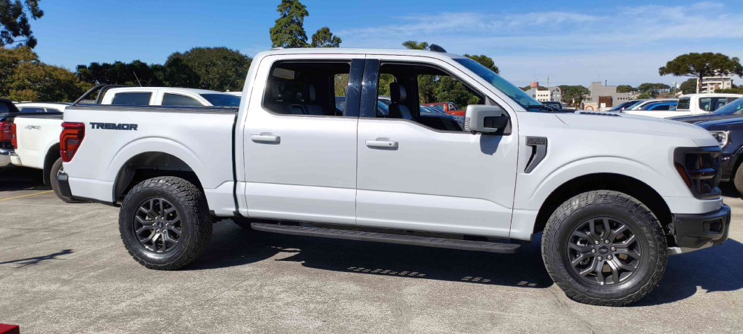 ford f-150 5.0 v8 gasolina cd tremor fx4 automatico 4p 20257