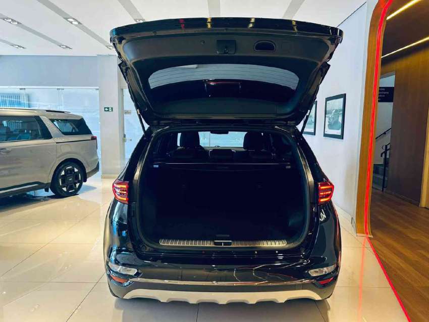 sportage 2.0 ex 4x2 16v flex 4p automatico18