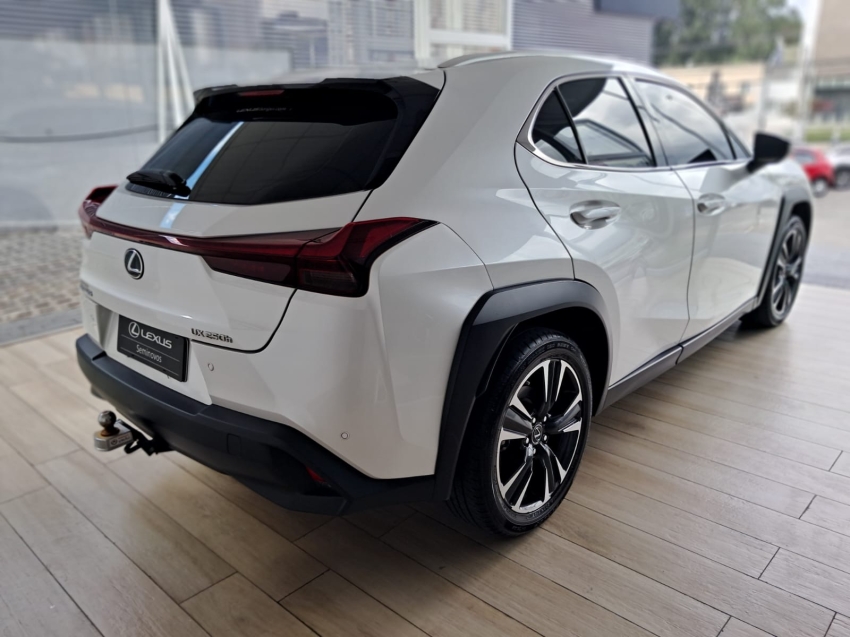 LEXUS UX 250H20