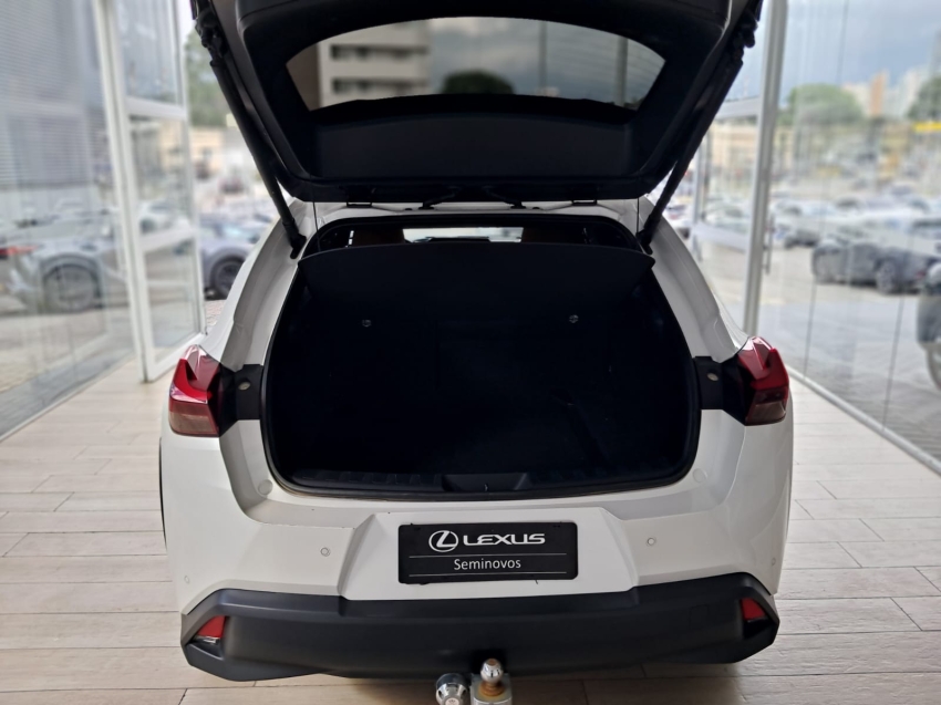 LEXUS UX 250H21