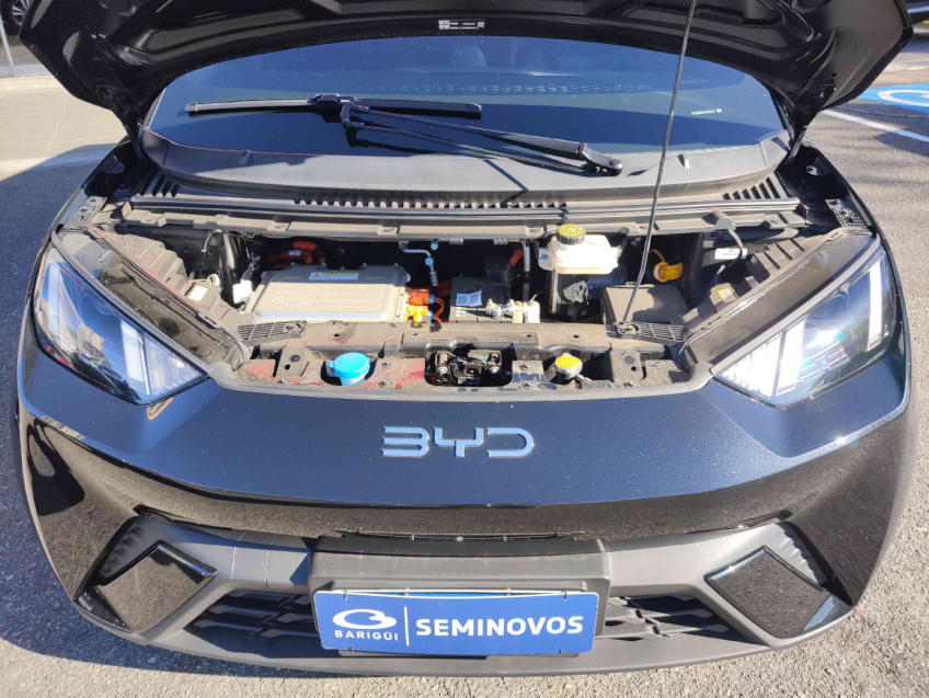 dolphin mini gs5ev 75hp  2024/25