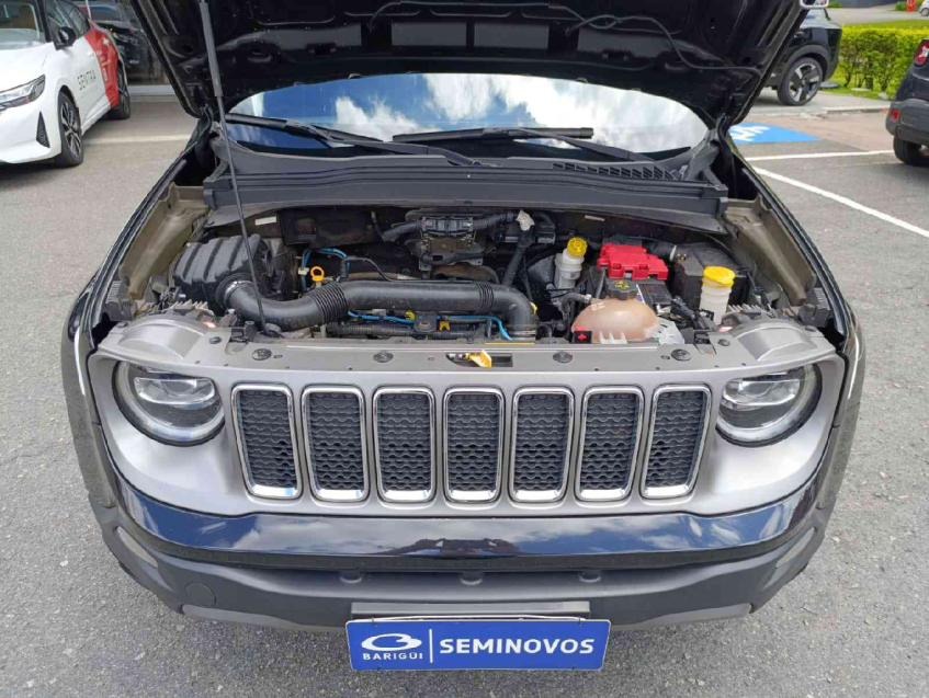 renegade limited at6 1.8 flex 2020/219