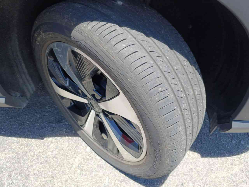 song plus dm-i 1.5 hibrido automatico 2023/2418