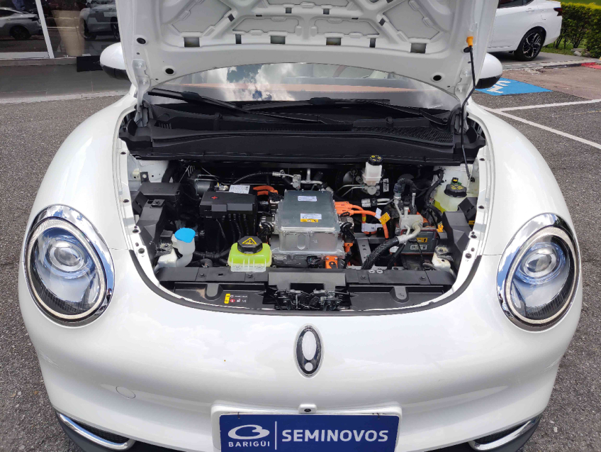 ora 03 skin 48 kwh 171hp  automatico 2023/249