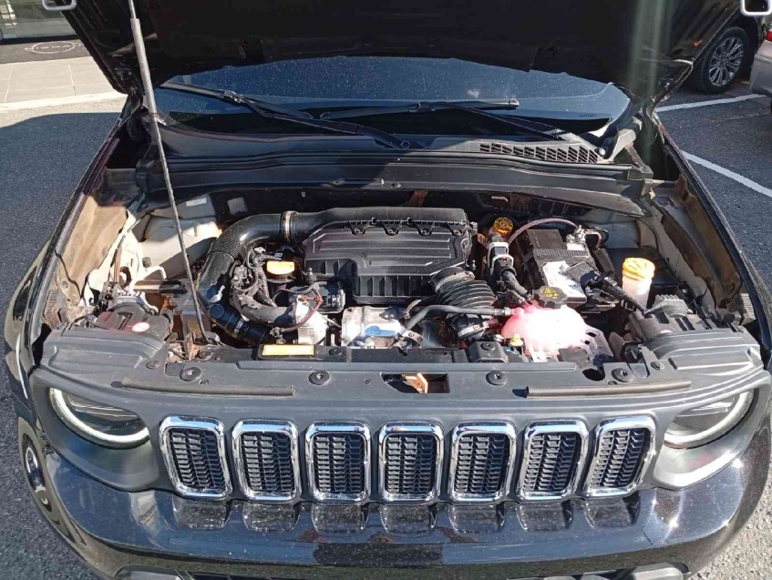 renegade lgtd t270 turbo flex longitude at6 2025/269