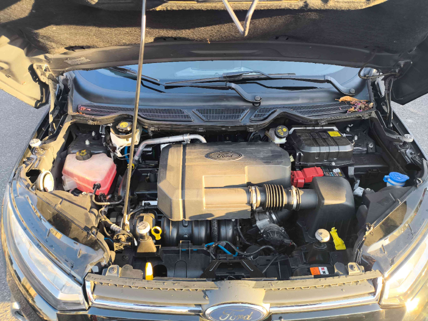 ecosport 2.0 titanium flex 147hp 2017/179