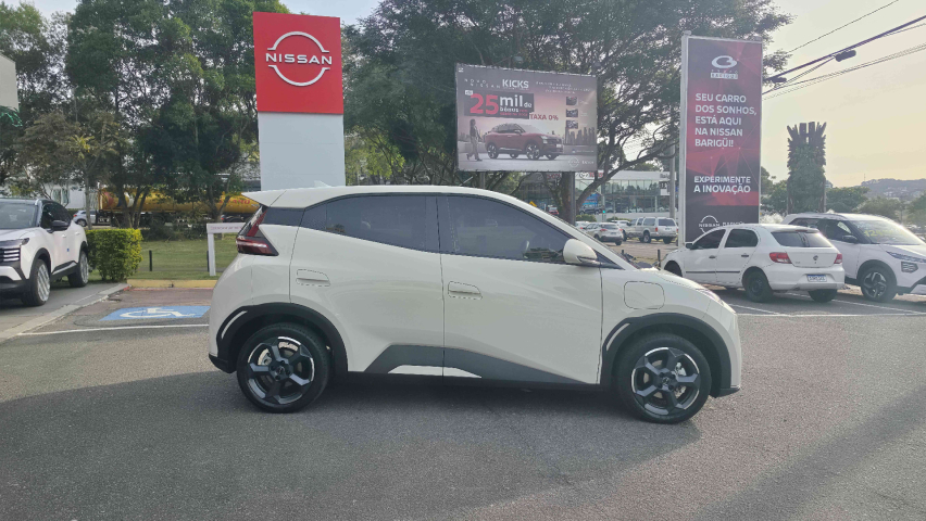 dolphin mini gs5 ev automatico 2024/257