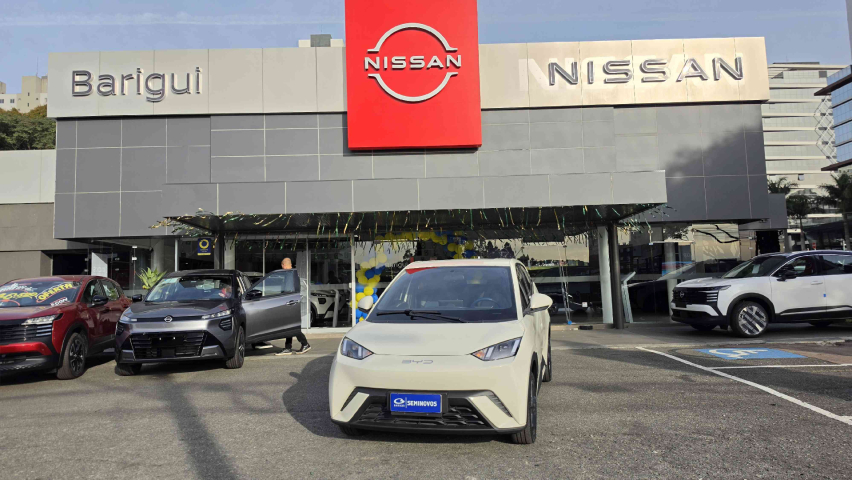 dolphin mini gs5 ev automatico 2024/2517