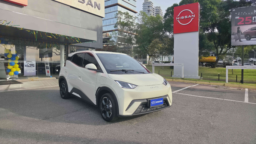 dolphin mini gs5 ev automatico 2024/25