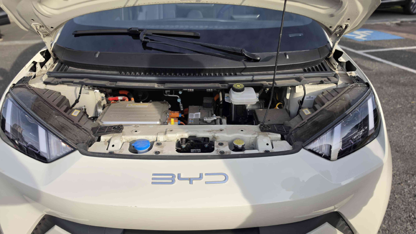 dolphin mini gs5 ev automatico 2024/259