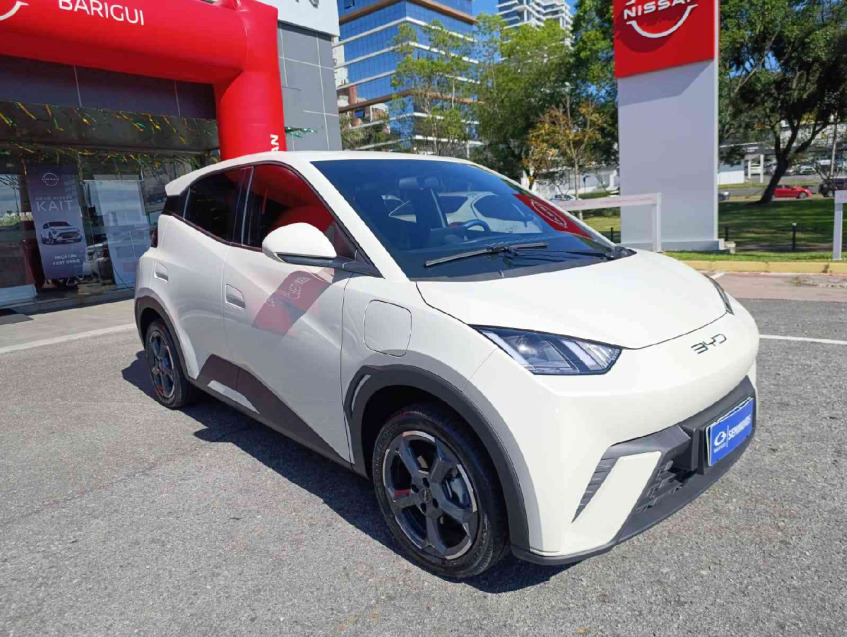 dolphin mini ev automatico 2024/25