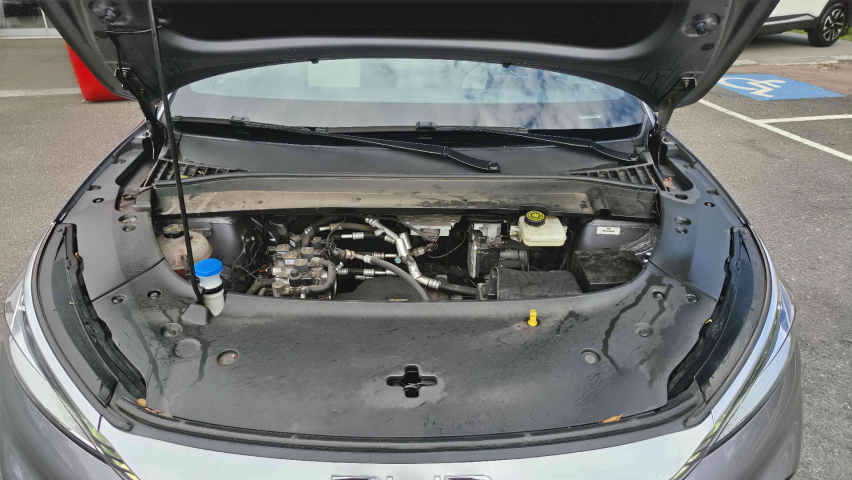 yuan plus ev automatico 2023/2320