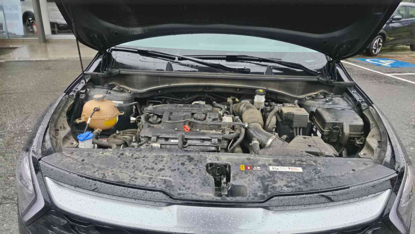 sportage ex mhev 1.6 16v at hibrido automatico 2022/239