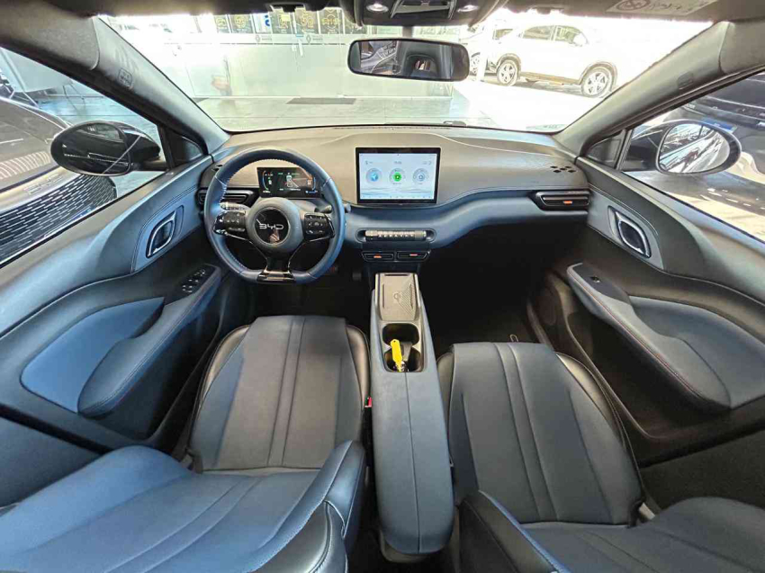 byd dolphin mini gs ev 5l 75hp eletrico automatico 2024/25