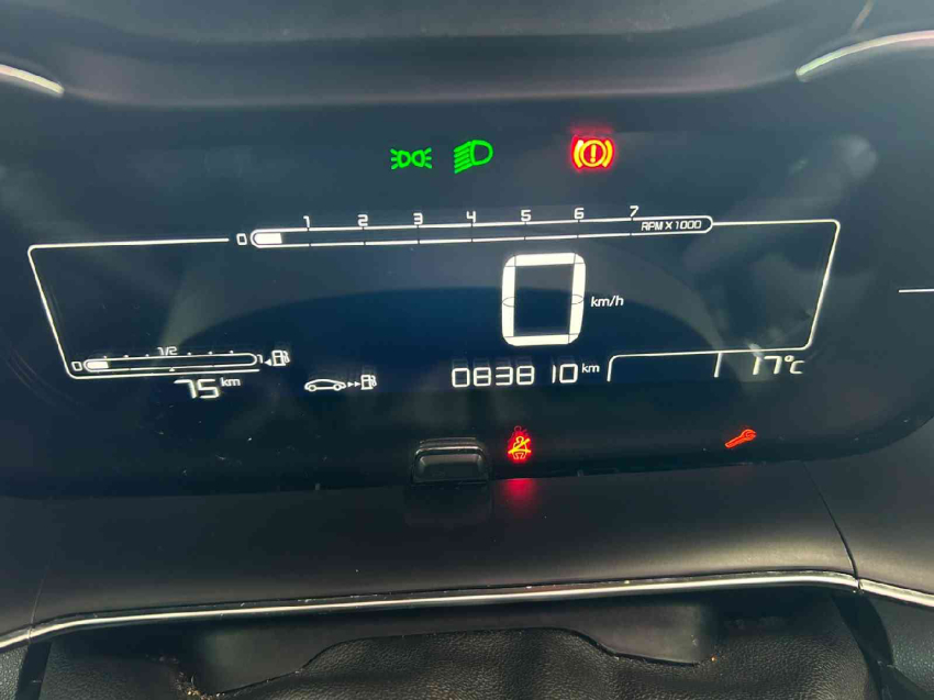 c4 cactus live 1.6 16v10