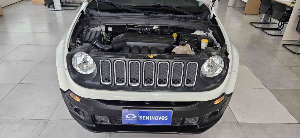 jeep renegade 1.8 16v flex 4p manual 20179