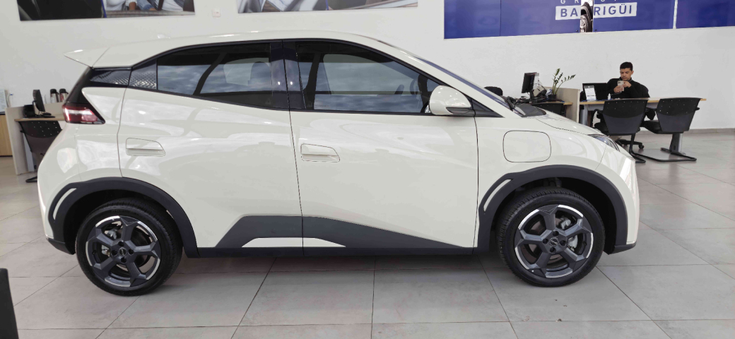 dolphin mini gs ev automatico 2024/25