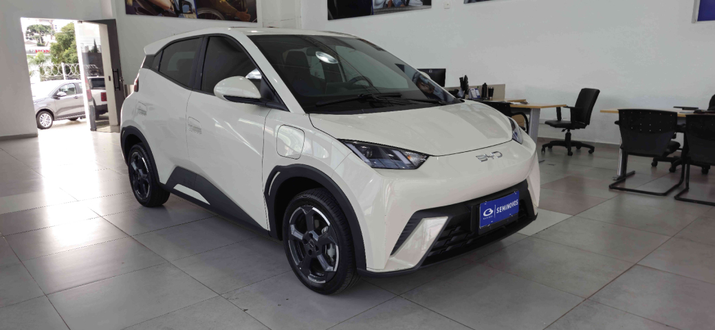 dolphin mini gs ev automatico 2024/25