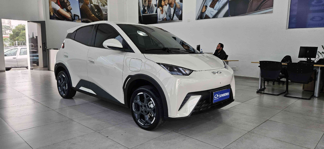 byd dolphin 44,9 kw eletrico gs 1.0 4p automatico 20261