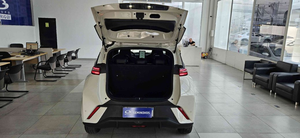 byd dolphin 44,9 kw eletrico gs 1.0 4p automatico 20268