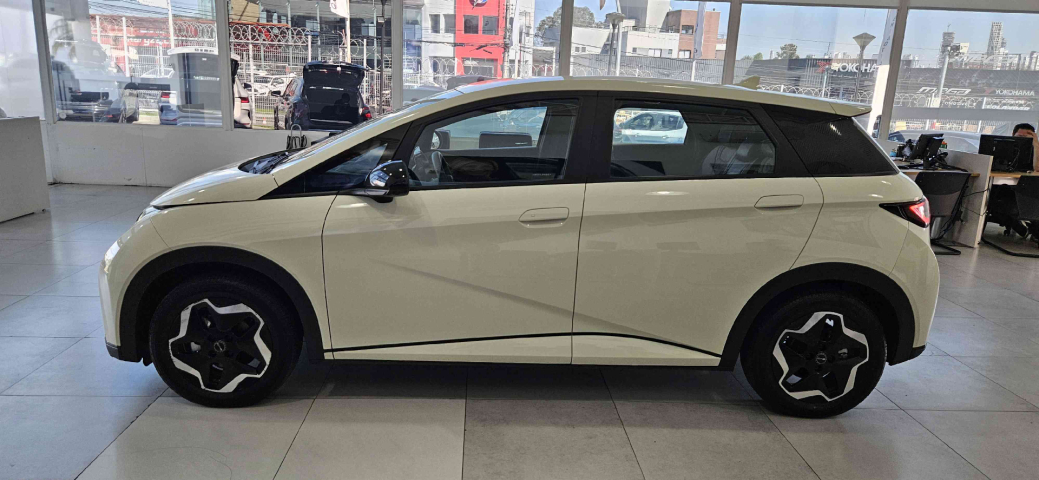 byd dolphin 44,9 kw eletrico gs 1.0 4p automatico 20244