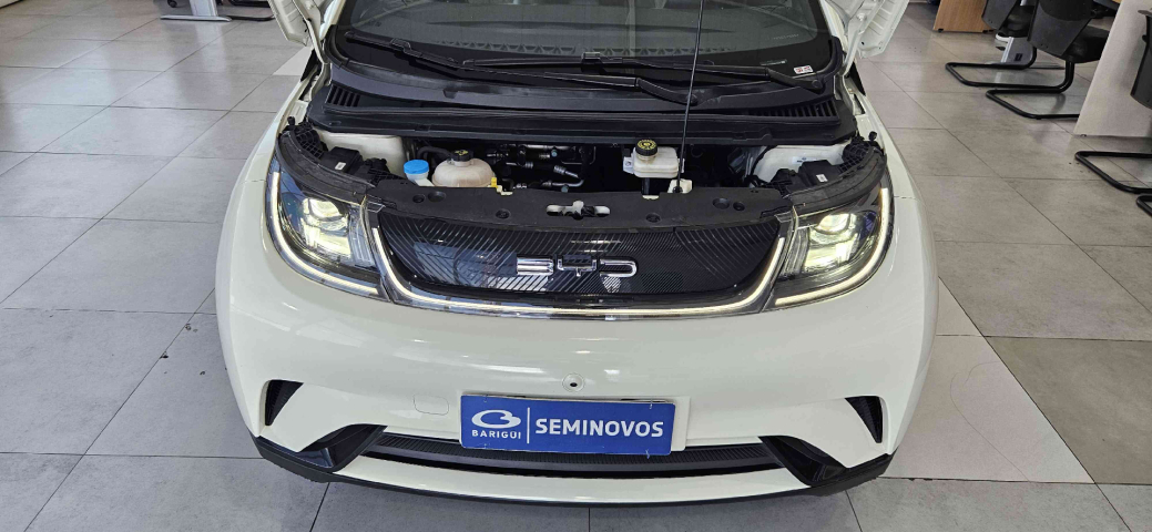 byd dolphin 44,9 kw eletrico gs 1.0 4p automatico 20249