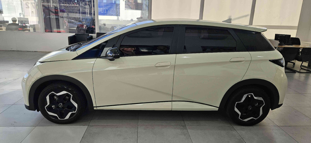 byd dolphin 44,9 kw eletrico gs 1.0 4p automatico 20254