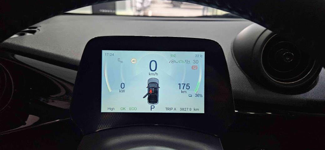 BYD DOLPHIN Elétrico Automático15