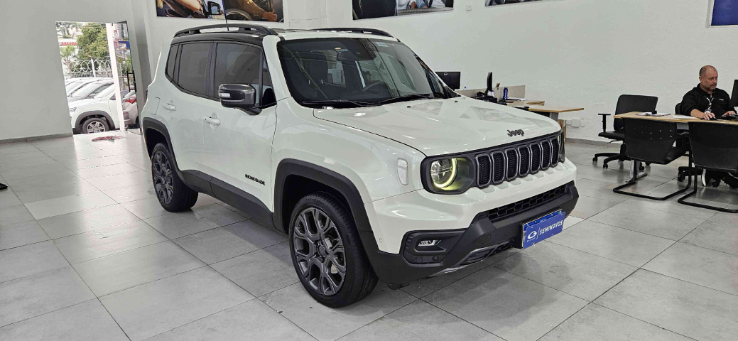 JEEP RENEGADE Flex1