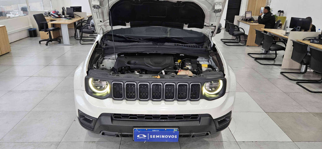 JEEP RENEGADE Flex9